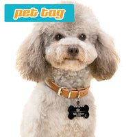 Pet Tag