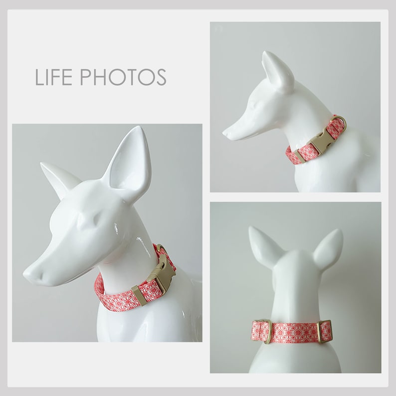 Red Green Lightweight Dog Collar, Personalised Premium Dog Collar or Dog Collar and Leash Set with Matching Bowtie *Detachable