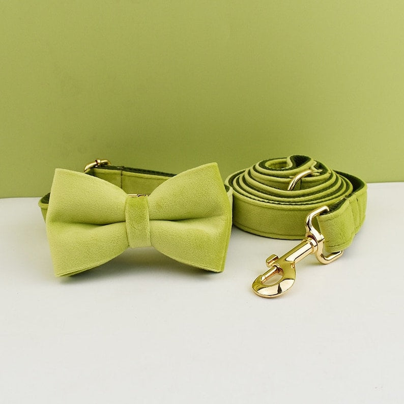 Custom Avocado Velvet Personalised Dog Collar, Matching Dog Bowtie, Dog Flower, Dog Leash, Dog Harness and Dog Poop Bag