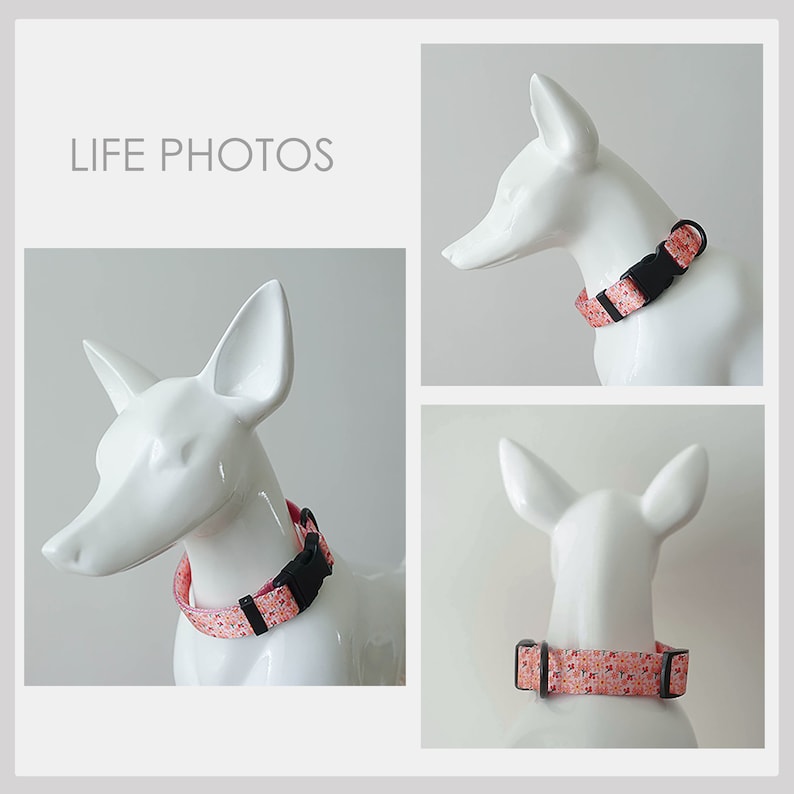 Pink Floral Lightweight Dog Collar, Personalised Premium Dog Collar or Dog Collar and Leash Set with Matching Bowtie *Detachable