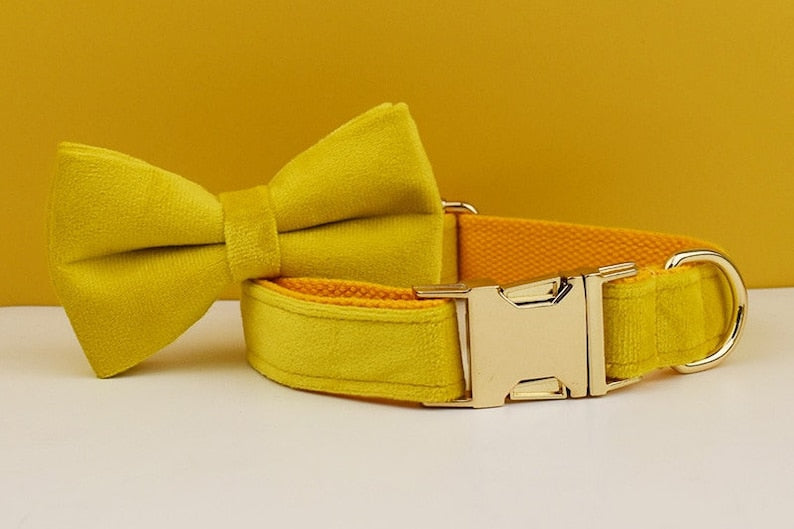 Custom Yellow Velvet Personalized Dog Collar, Matching Dog Bowtie, Dog Flower, Dog Leash, Dog Harness & Dog Poop Bag, Different Combo