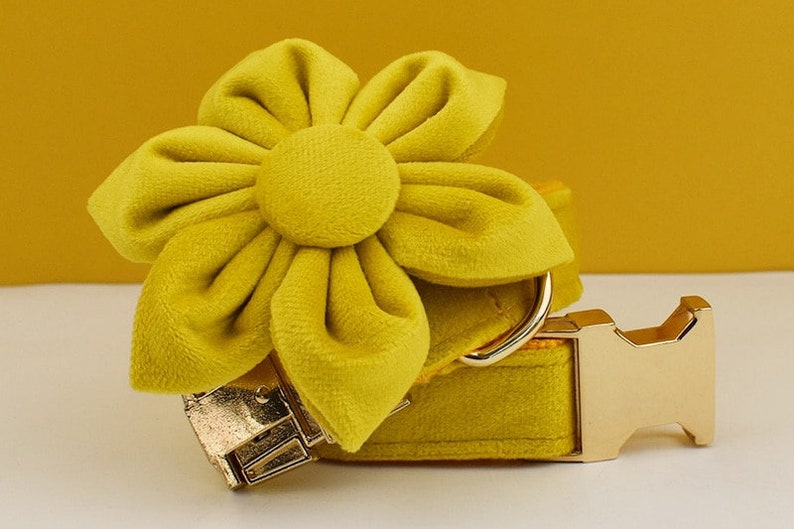 Custom Yellow Velvet Personalized Dog Collar, Matching Dog Bowtie, Dog Flower, Dog Leash, Dog Harness & Dog Poop Bag, Different Combo