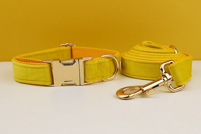 Custom Yellow Velvet Personalized Dog Collar, Matching Dog Bowtie, Dog Flower, Dog Leash, Dog Harness & Dog Poop Bag, Different Combo