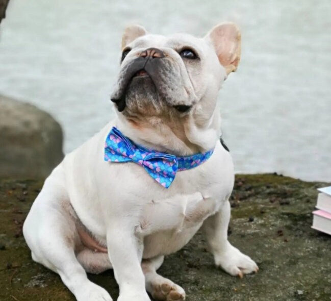 Dog Collar Personalised Mermaid Design Dog Collar and Lead Set, Dog Bow Tie