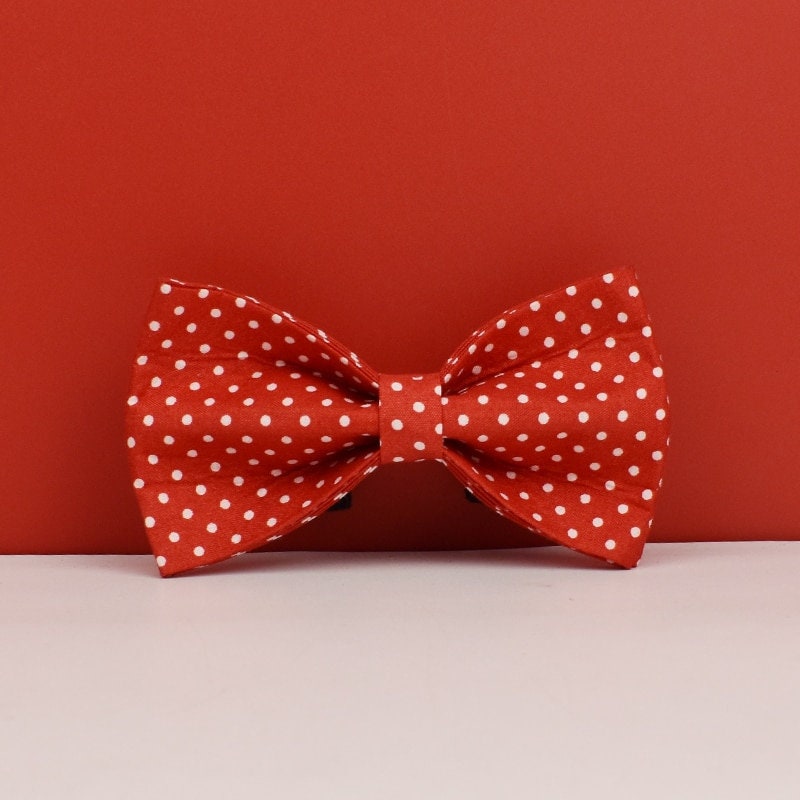 Custom Red Polka Dot Personalised Dog Collar, Matching Dog Bowtie, Dog Leash, H-Style Dog Harness
