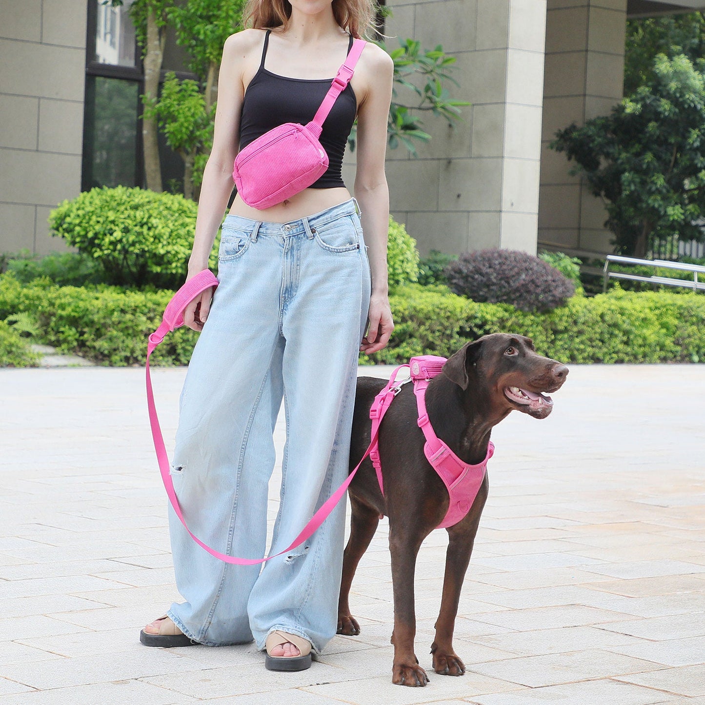 Personalised Dog Collar or Dog Harness Set - Hot Pink No Pull Dog Harness - Dog Leash - Poop Bag Holder - Treat Bag