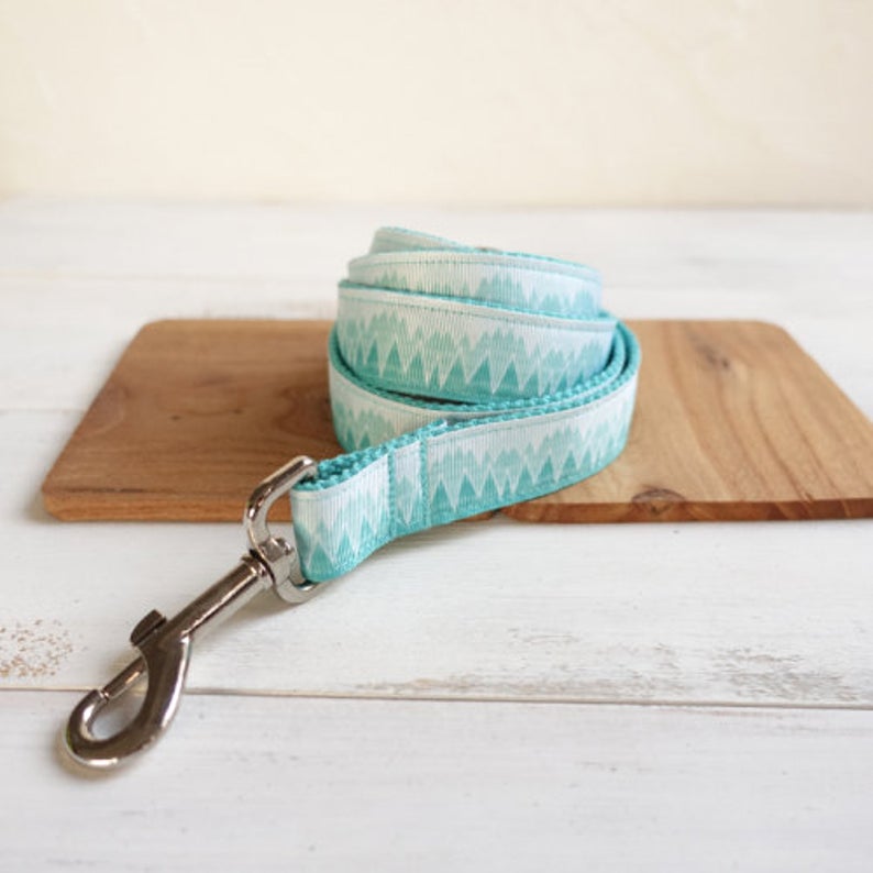 Personalised Blue Mountain Dog Collar Set