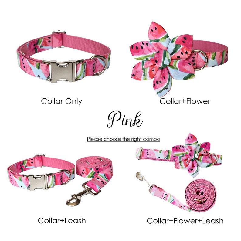 Watermelon Cute Custom Dog Collar Leash Set