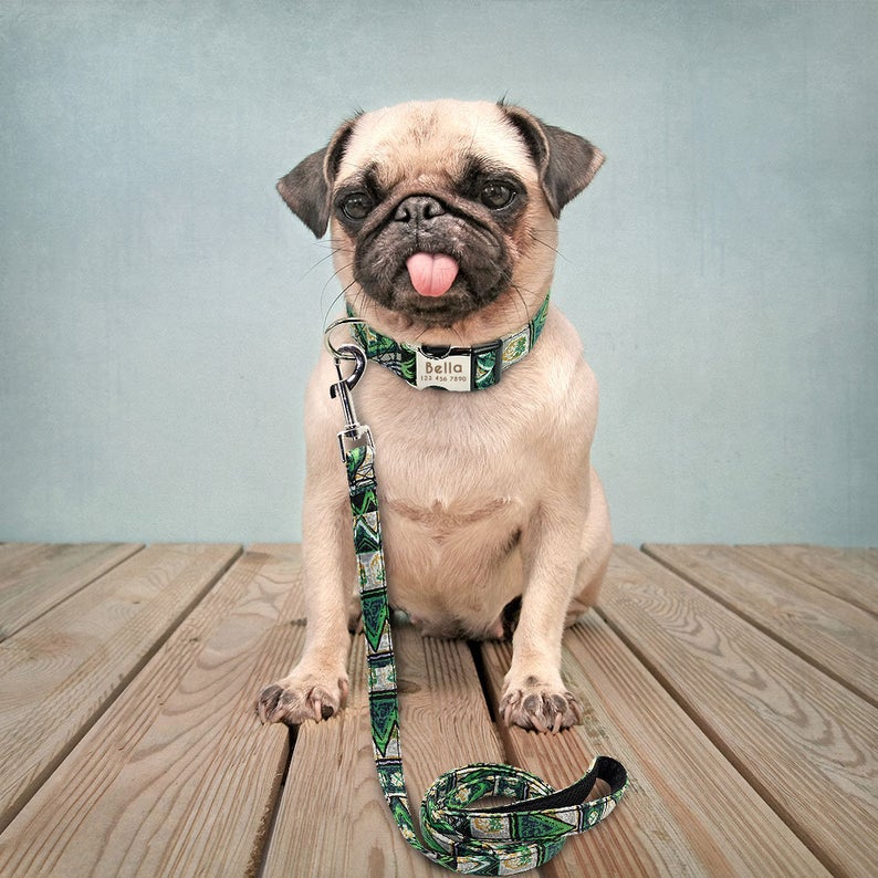 Colorful Abstract Personalised Dog Collar/Leash