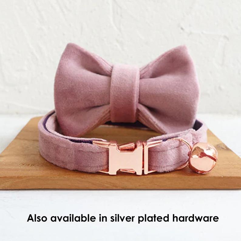Velvet Personalised Pet collar with removable bowtie