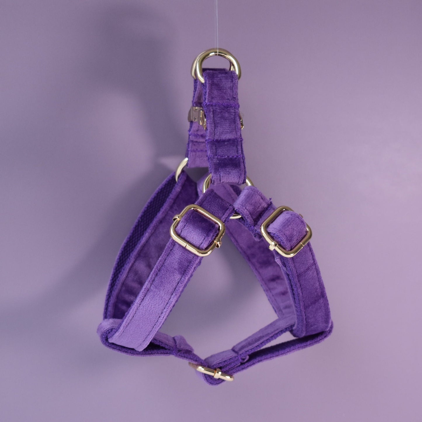 Purple Personalised Dog Collar Combo Set, Matching Bowtie, Leash and Harness