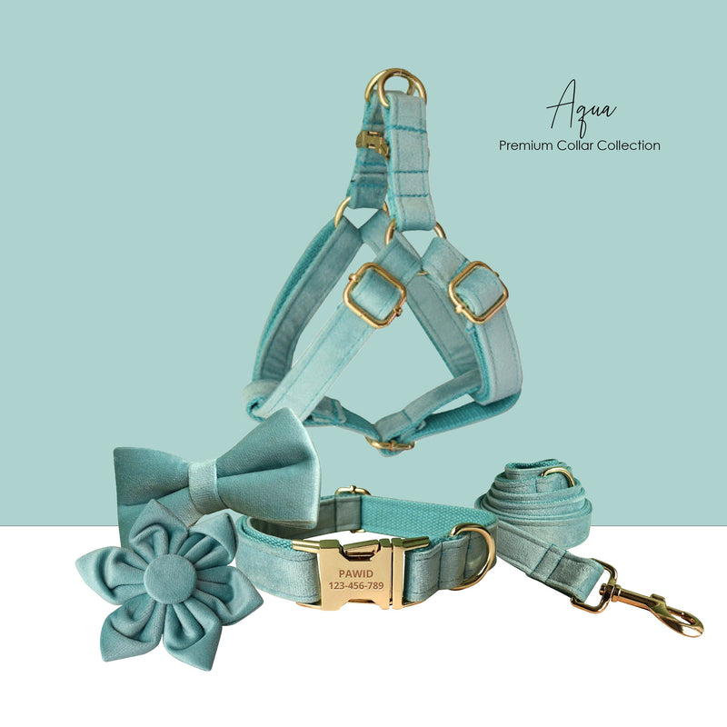 Aqua Thick Velvet Dog Collar and Lead Set and Harness Combo