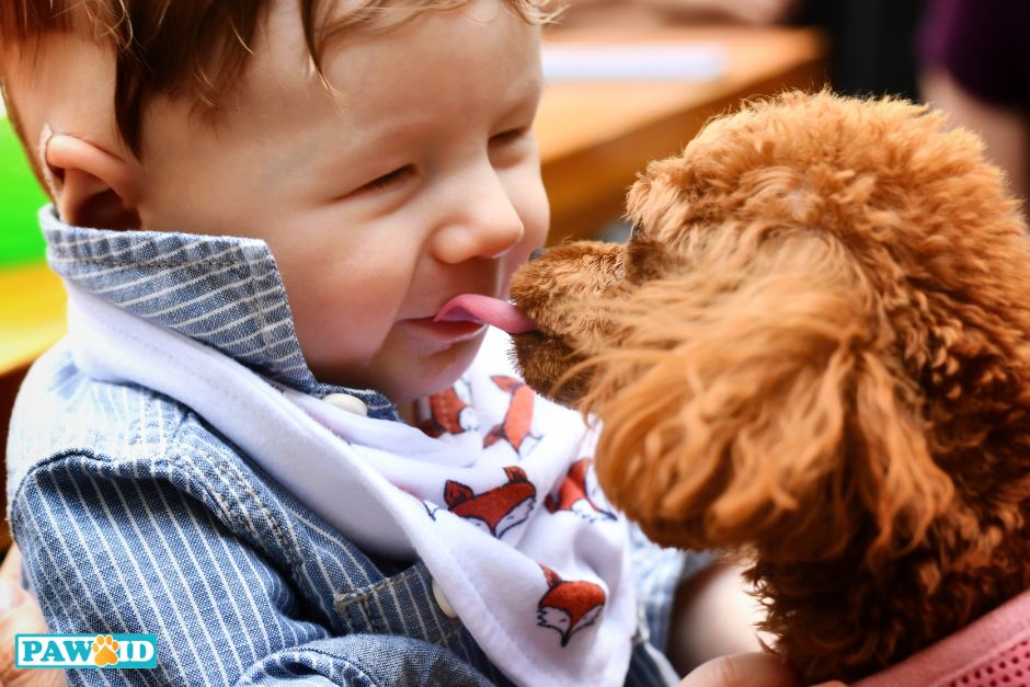 Those dog kisses don’t mean what you think
