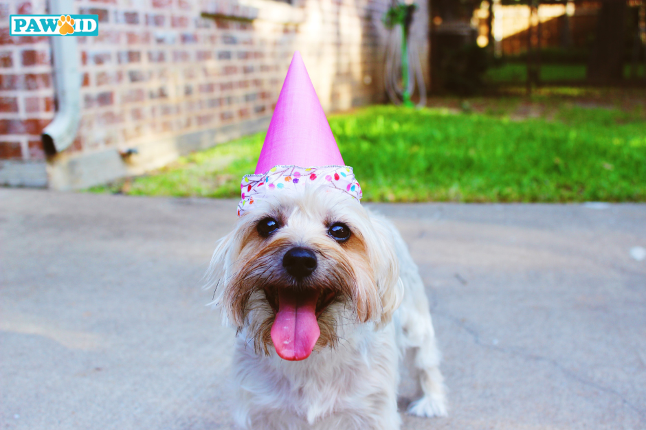 Dog years vary a lot, based on breed