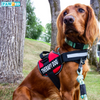 Dogs can help with health problems