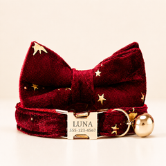 Velvet Golden Star Cat Collar