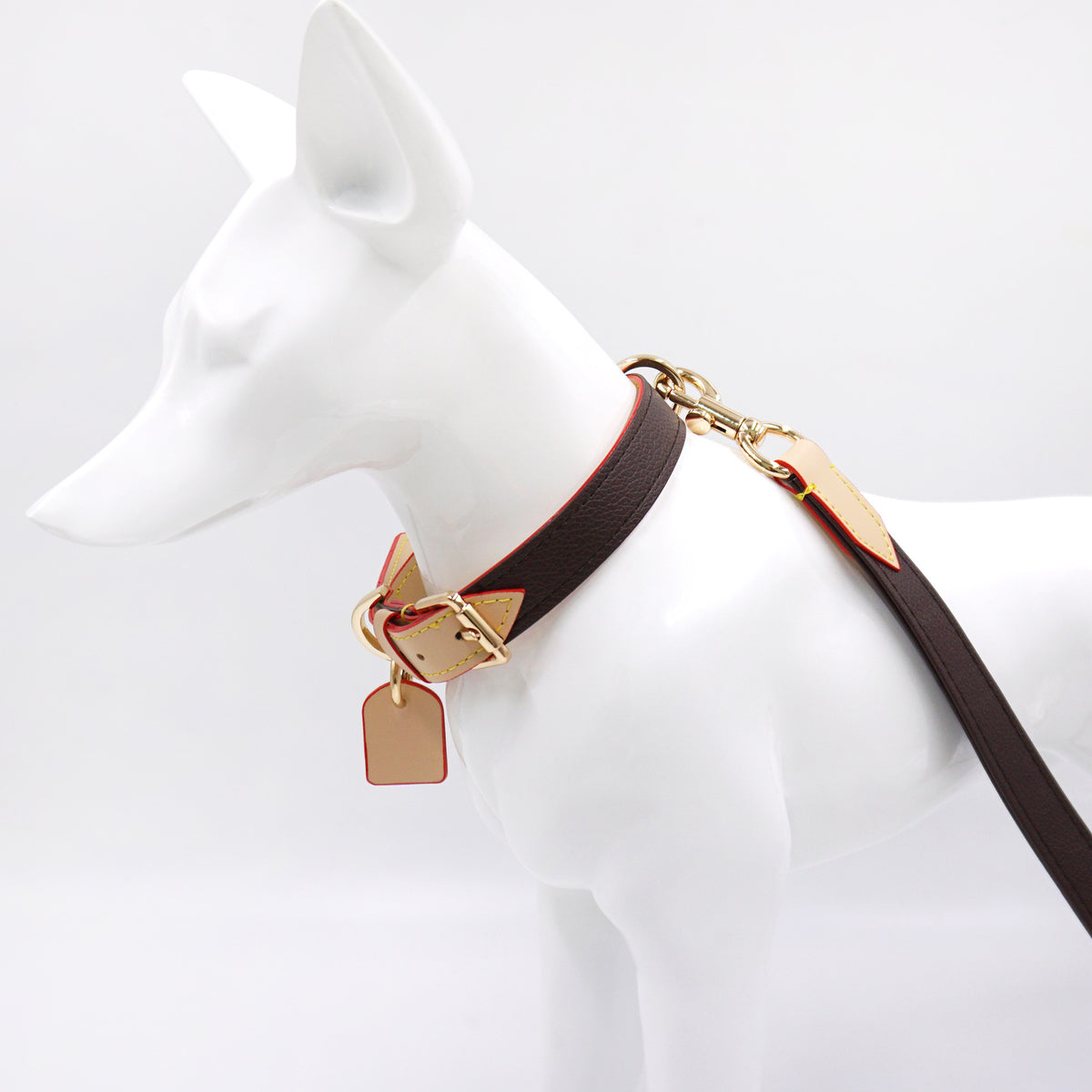 Dark brown leather collar and leash on dog model