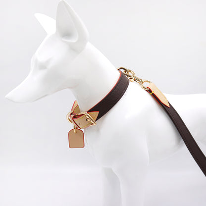 Dark brown leather collar and leash on dog model