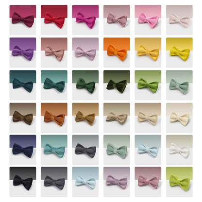 Velvet dog bow tie
