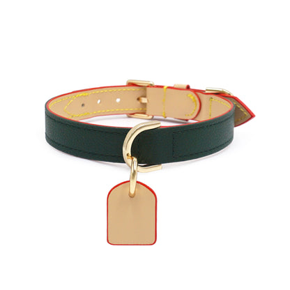 Vintage green leather collar with name tag