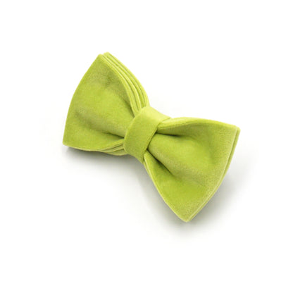 Avocado Green