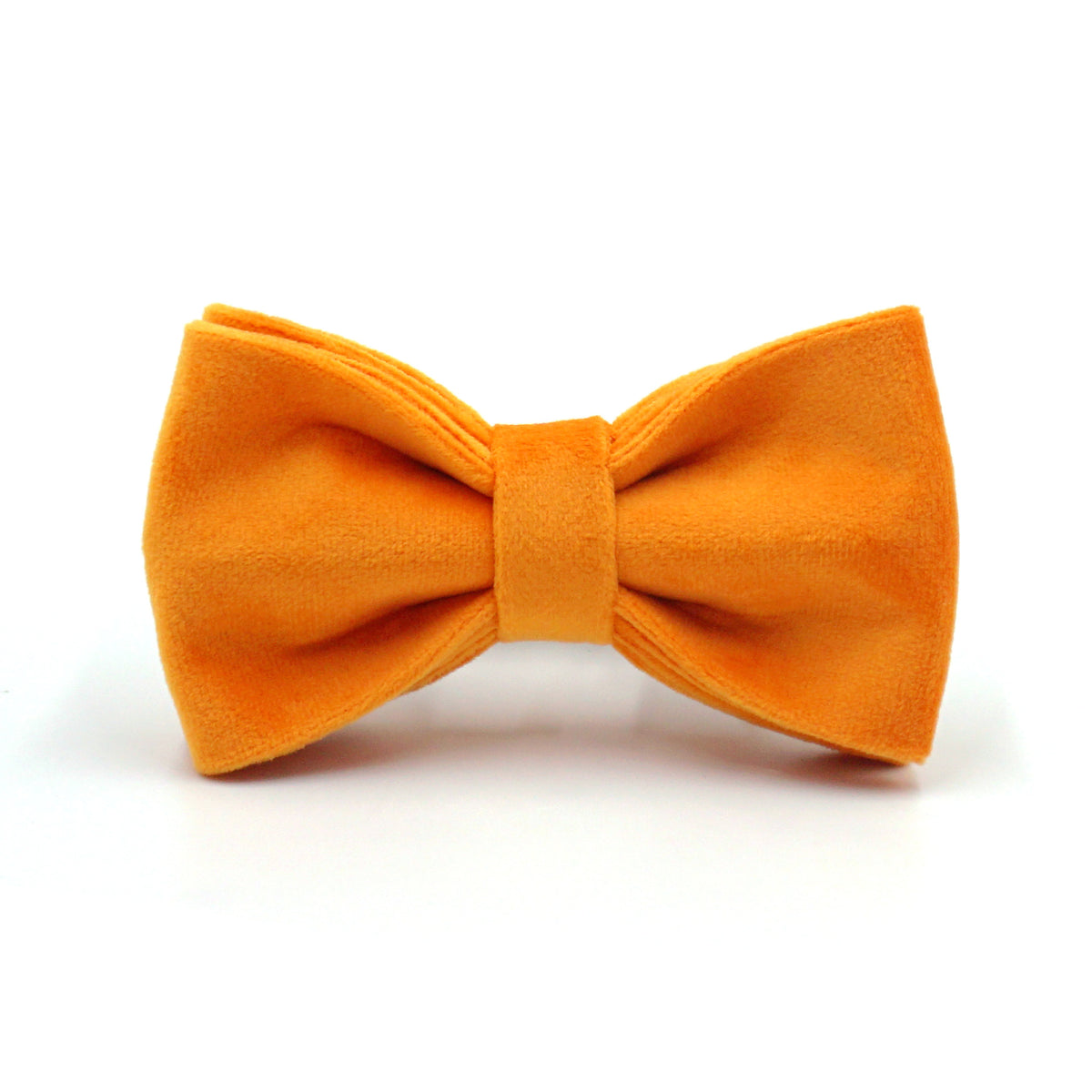 Velvet dog bow tie