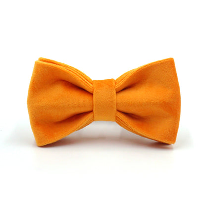 Velvet dog bow tie