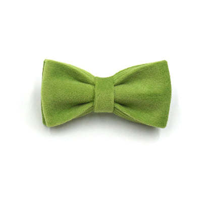 Matcha Green