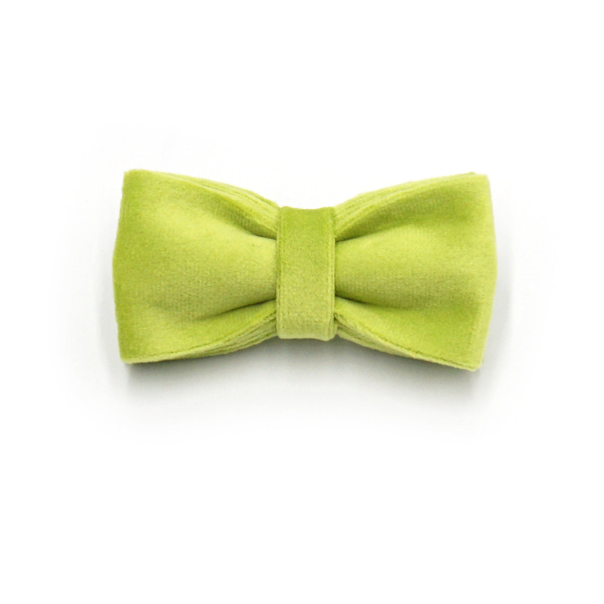 Avocado Green