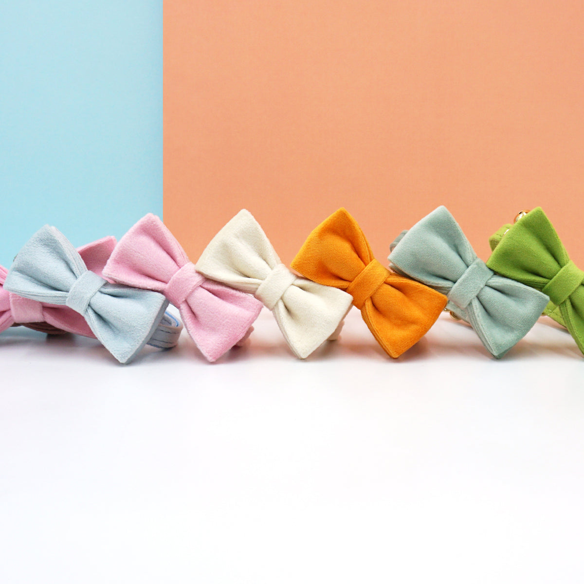 Velvet cat bow tie colours