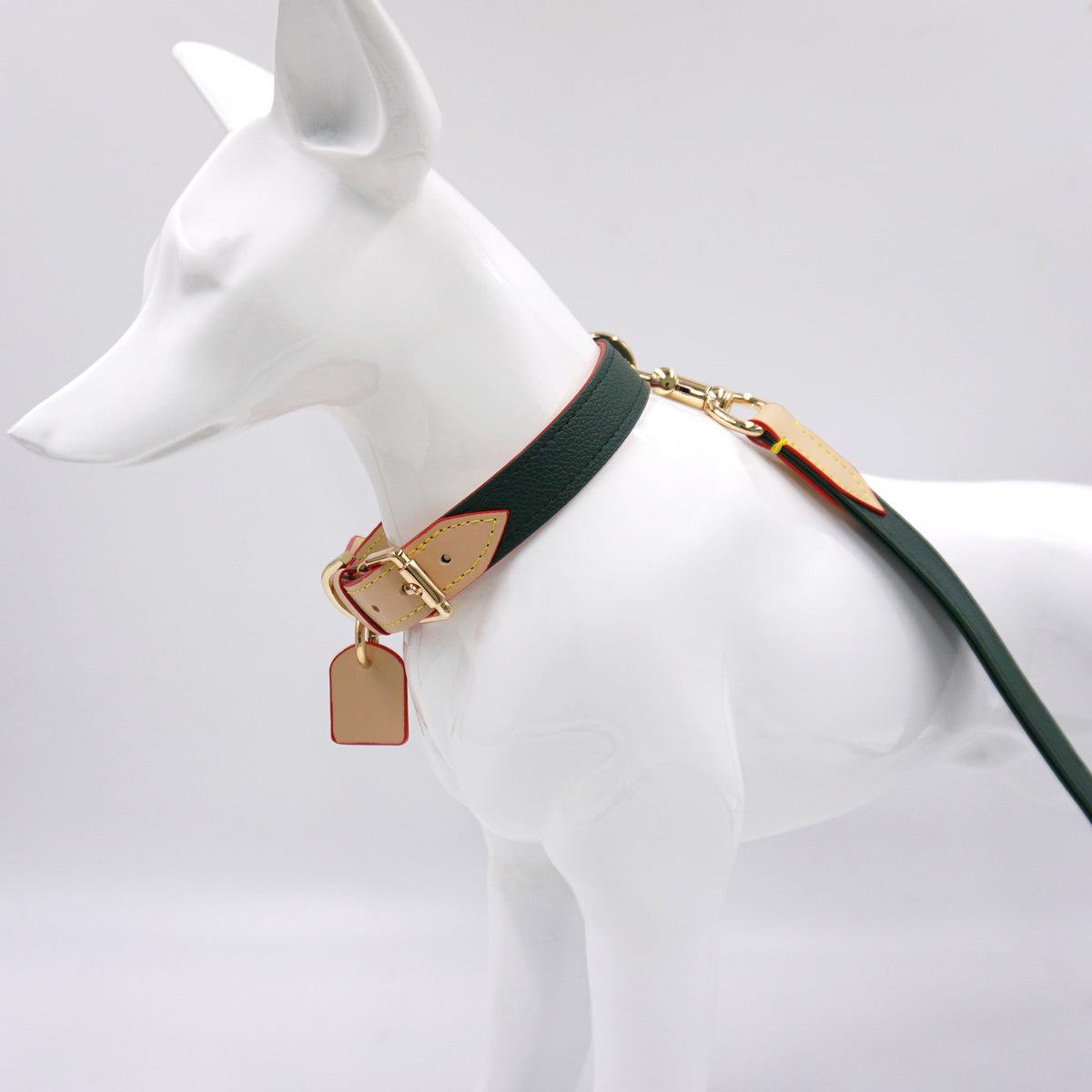 Vintage green leather collar and leash on dog model