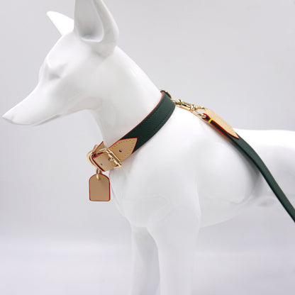 Vintage green leather collar and leash on dog model