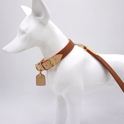 Caramel leather collar and leash on dog model