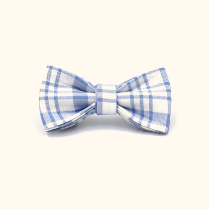 Blue plaid matching bowtie