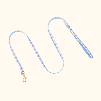 Blue plaid matching cat leash
