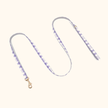 Purple plaid matching cat leash
