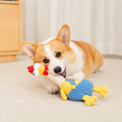 Corgi dog chewing the long-neck chicken plush toy