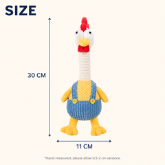 Size chart — long-neck chicken dog toy 30 cm tall, 11 cm wide