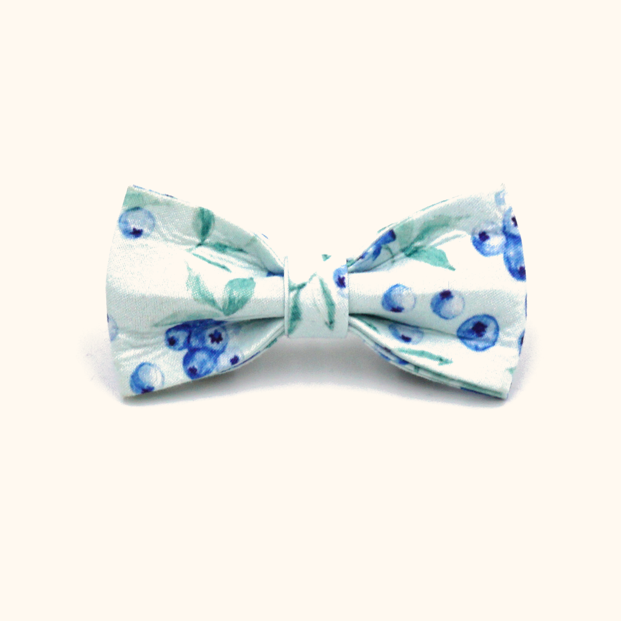 Blueberry matching bowtie