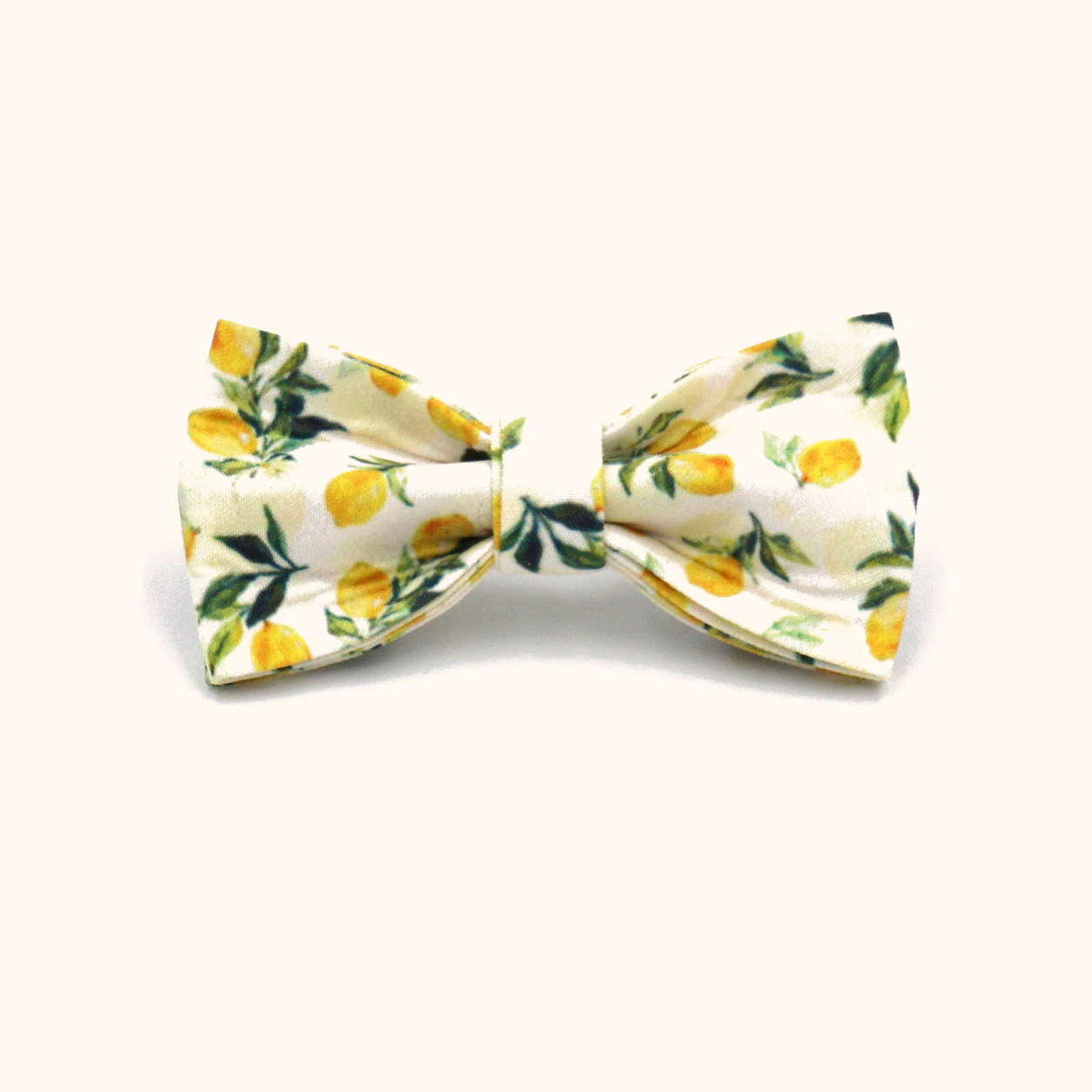 Lemon matching bowtie