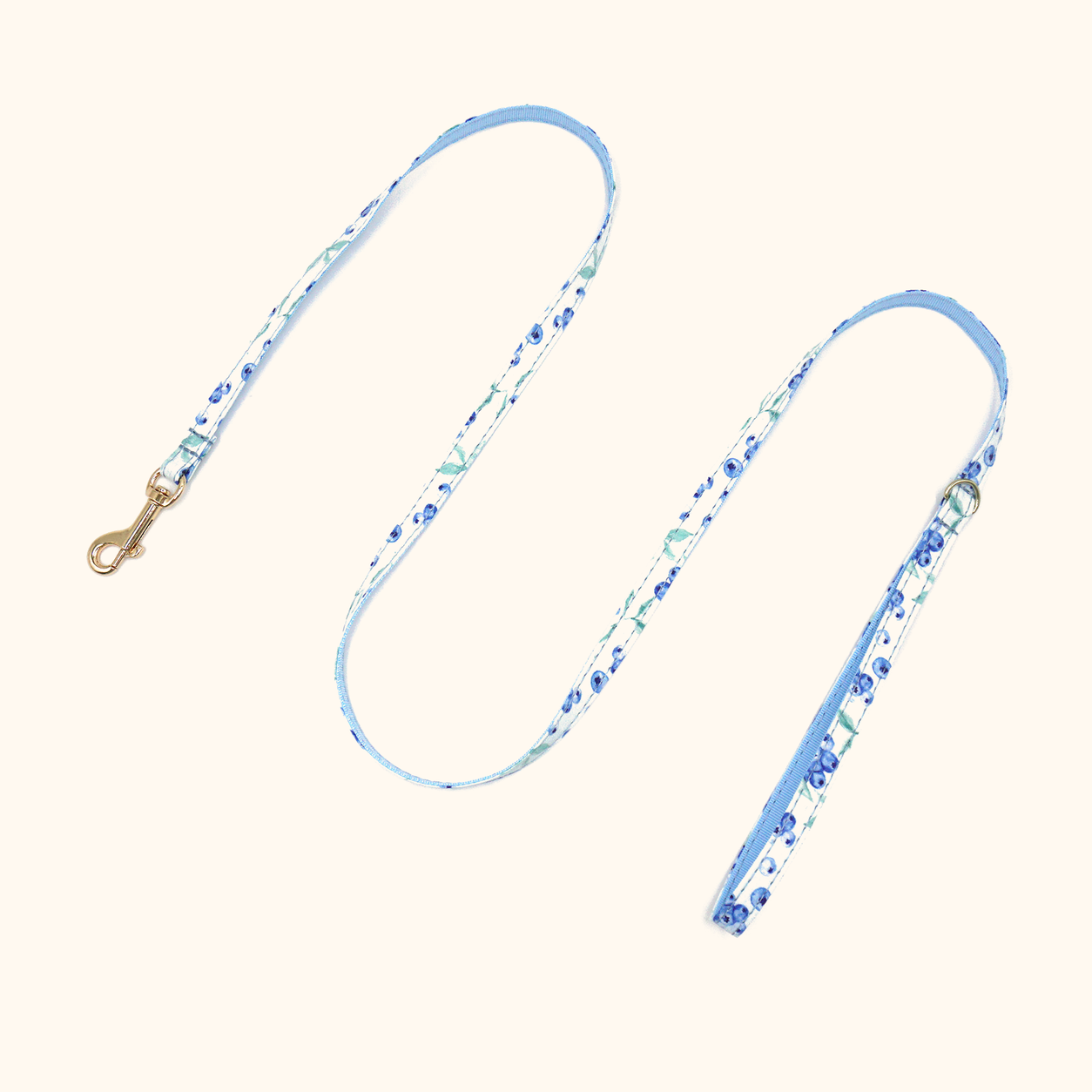 Blueberry matching cat leash