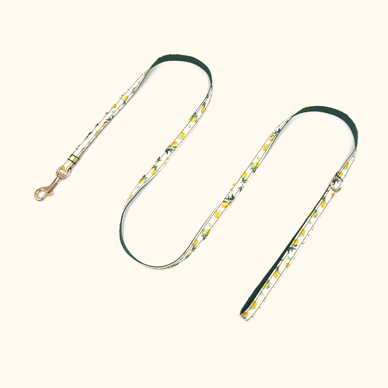 Lemon matching cat leash