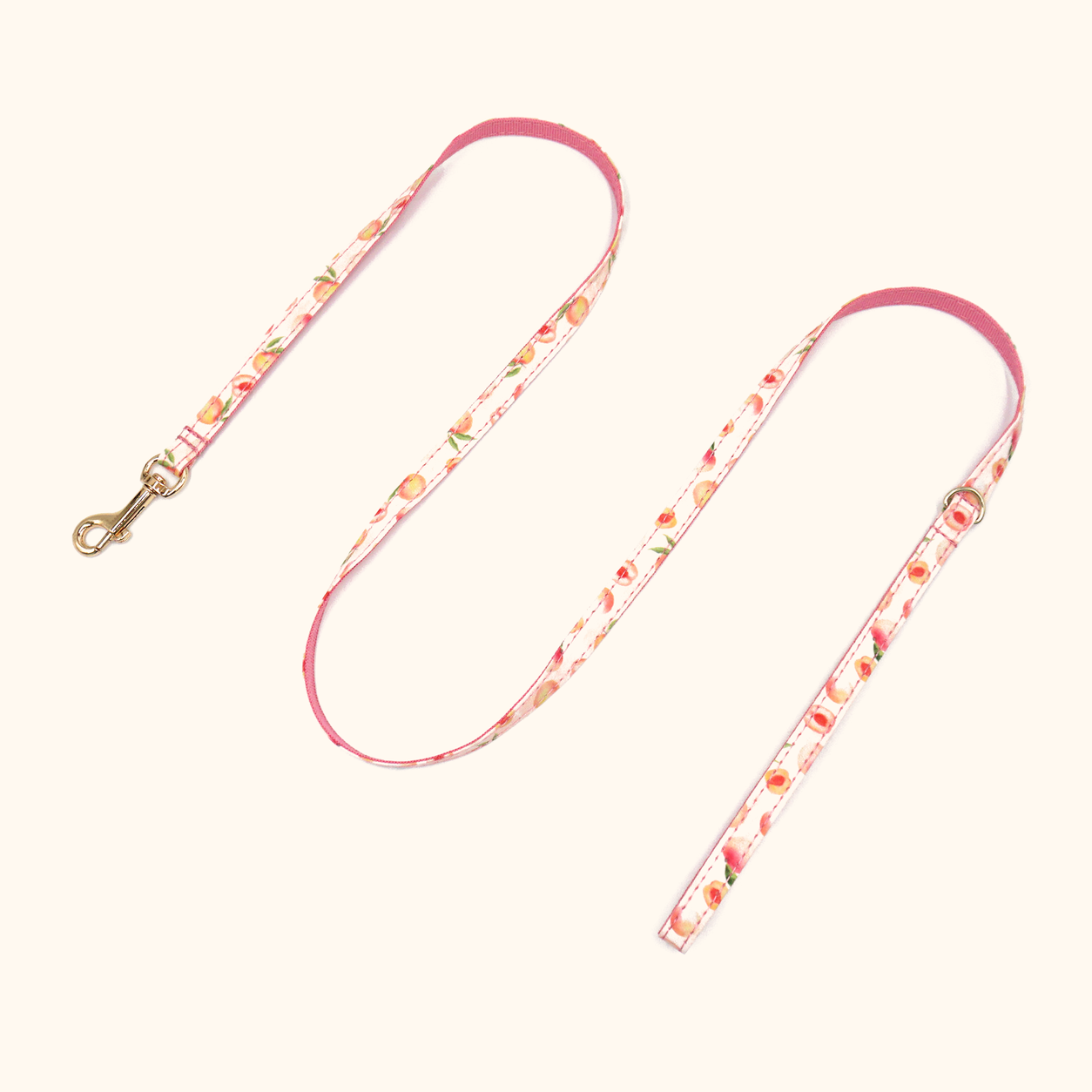 Peach matching cat leash