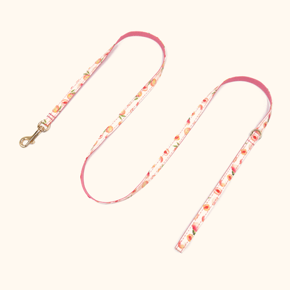 Peach matching cat leash
