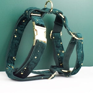 Stars Dog Harness, Custom Green with Golden Stars Personalised Velvet Dog Collar, Bowtie, Leash, for Christmas, Wedding
