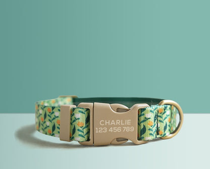Green Floral Lightweight Dog Collar, Premium Dog Collar or Dog Collar and Leash Set with Matching Bowtie *Detachable