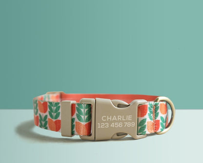Green Floral Lightweight Dog Collar, Premium Dog Collar or Dog Collar and Leash Set with Matching Bowtie *Detachable