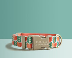 Green Floral Lightweight Dog Collar, Premium Dog Collar or Dog Collar and Leash Set with Matching Bowtie *Detachable