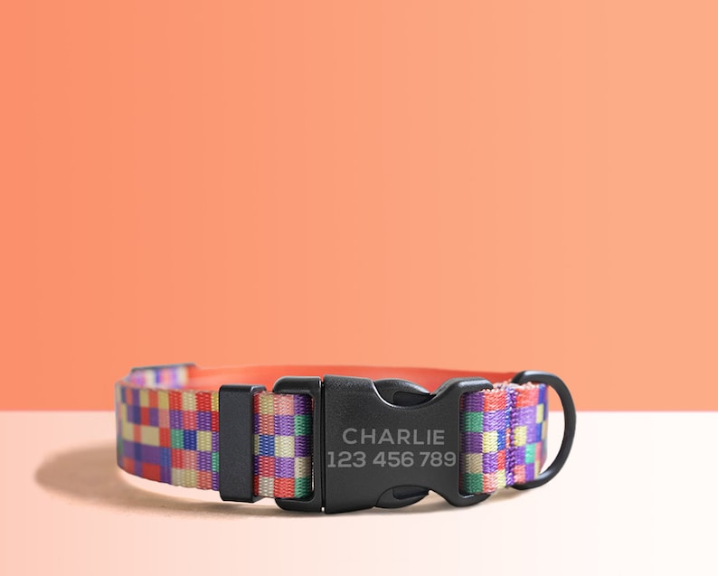 Multi-Colored Lightweight Dog Collar, Personalised Premium Dog Collar or Dog Collar and Leash Set with Matching Bowtie *Detachable