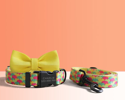Multi-Colored Lightweight Dog Collar, Personalised Premium Dog Collar or Dog Collar and Leash Set with Matching Bowtie *Detachable